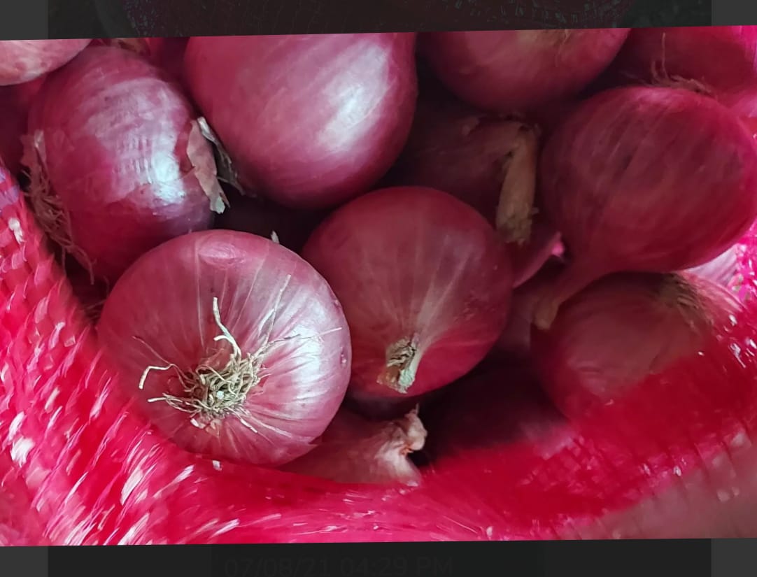 Oignons rouges indiens frais from Inde